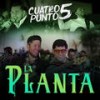 La Planta - Norteño 4.5