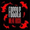 Ham Reader - FOSSILS