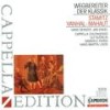 I. Allegro con spirito - Cappella Coloniensis&Ulf Bjorlin