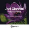 Adamantium (Drug4u Remix) - Joel Giannini