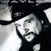 They Ain't Got 'Em All - Waylon Jennings