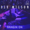 Hangin on (Radio Mix) - Dex Wilson