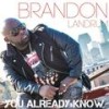 In My Feelings - Brandon Landrum&Watts