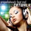 Catwalk (Andytaker Remix Edit) - Propellaheadz&Mel