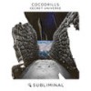 Secret Universe (Instrumental Mix) - Cocodrills