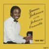 I Couldn't Tell You (If The Lord Hadn't Done It For Me) - James Johnson&The Johnson Ensemble