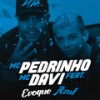 Evoque Azul - MC Pedrinho&MC Davi