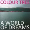 All You Can See - Colour Tree