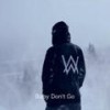 Alan Walker、Kelly Clarkson - Baby Don't Go  (3D) - 杭立旺