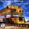 Sun Regrets(feat. Sophie Kowalsky) - The Forest&Stimmhalt&Sophie Kowalsky