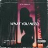 What YoU Need(feat. Gifted Jay) (Explicit) - Thurm&Gifted Jay