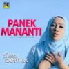 Panek Mananti - Dessy Santhia