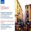 Il carnevale di Venezia, Op. 22 (revised and orchestrated) - Stefan Fraas&Roberto Fabbriciani&Friuli Venezia Giulia Symphony Orchestra