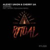 Zodiac (Enai Remix) - Alexey Union&Cherry (UA)