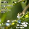 Drops of Life (Sean Cronin Toasty Remix) - Lakes