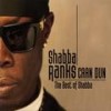 Roots & Culture - Shabba Ranks