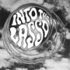 Into the Lasso - The Lasso