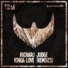 Kinda Love (Nils Hoffmann Remix) - Richard Judge