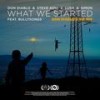 What We Started (Don Diablo's VIP Mix) - Don Diablo&Steve Aoki&Lush & Simon&BullySongs