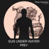 Prey (Dino Lenny Instrumental Rmx) - Sun Under Water&Dino Lenny&Rickard Berg