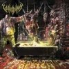 Drowned in Vomit (Explicit) - Vulvodynia 