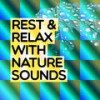 Wings - Rest&Relax Nature Sounds Artists