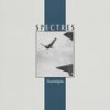 Fate - Spectres