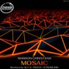 Mosaic (Prato Remix) - Mariion Christiian&Prato