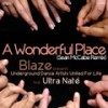 A Wonderful Place (Tomo Pigeon Main Remix) - Blaze&Udaufl&Ultra Naté