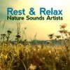 Water Wheel - Rest&Relax Nature Sounds Artists