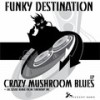 Crazy Mushroom Blues (Tribal dub) - Funky Destination