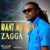 Want My Own - Zagga