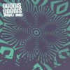 Fixed Things - Odonis Odonis