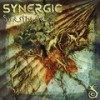 Synesthesia - Synergic&Blastourist