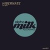 The Rain (Radio Edit) - Hibernate