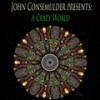 A Crazy World (Single Mix) - John Consemulder