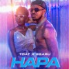 Hapa(feat. Ssaru) (Explicit) - Timmy Tdat&Ssaru