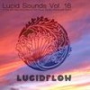 Lucid Sounds Eighteen - Mrs. Robot