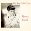 You're Driving Me Crazy (What Did I Do?) - Tommy Sands