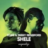 Shele (Original Mix) - Toshi&Timmy Regisford