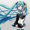 夜蝶乱舞 - Shiropon&初音ミク