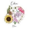 Sunflower (Explicit) - OAKUM