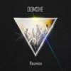 Reunion (Original Mix) - Domshe