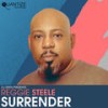 Surrender (Original Extended Mix) - Reggie Steele