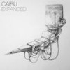 Test Tubes(Caibu Adjustment) (Remix) - SCB