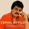 Ne Faydası Var - Cemal Ayyıldız&Ahmet Duyar&Selami Şahin