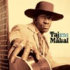 Medley: Railroad Bill / Baby It Ain't No Lie / Freight Train ((Live)[Instrumental]) - Taj Mahal