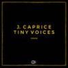 Tiny Voices (Original Mix) - J. Caprice