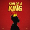 Son of a King - Dells Tmx&Holy Drill