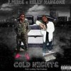 Cold Nights (Explicit) - J.Perks&Kelly Hansome